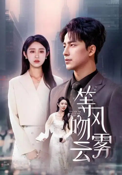 雾港追凶 热播电视剧全集手机免费在线观看